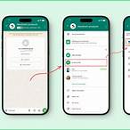 sure bet whatsapp group link